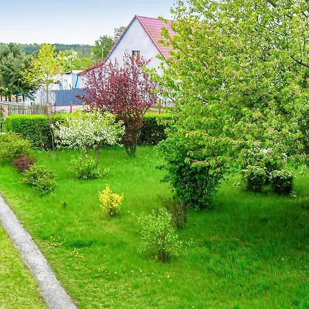 Pet Friendly In Swinoujscie